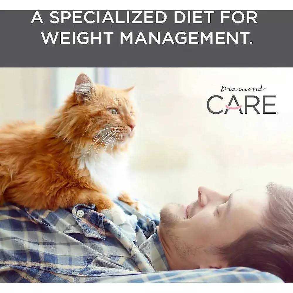 Adult Dry Cat Food P841713