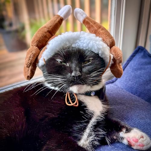 Antler Buffalo Check Pet Hat Z550674