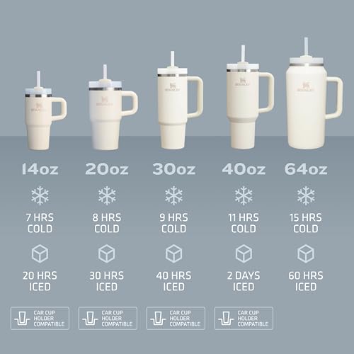 30 oz Insulated Stainless Steel Tumbler with Straw H2933