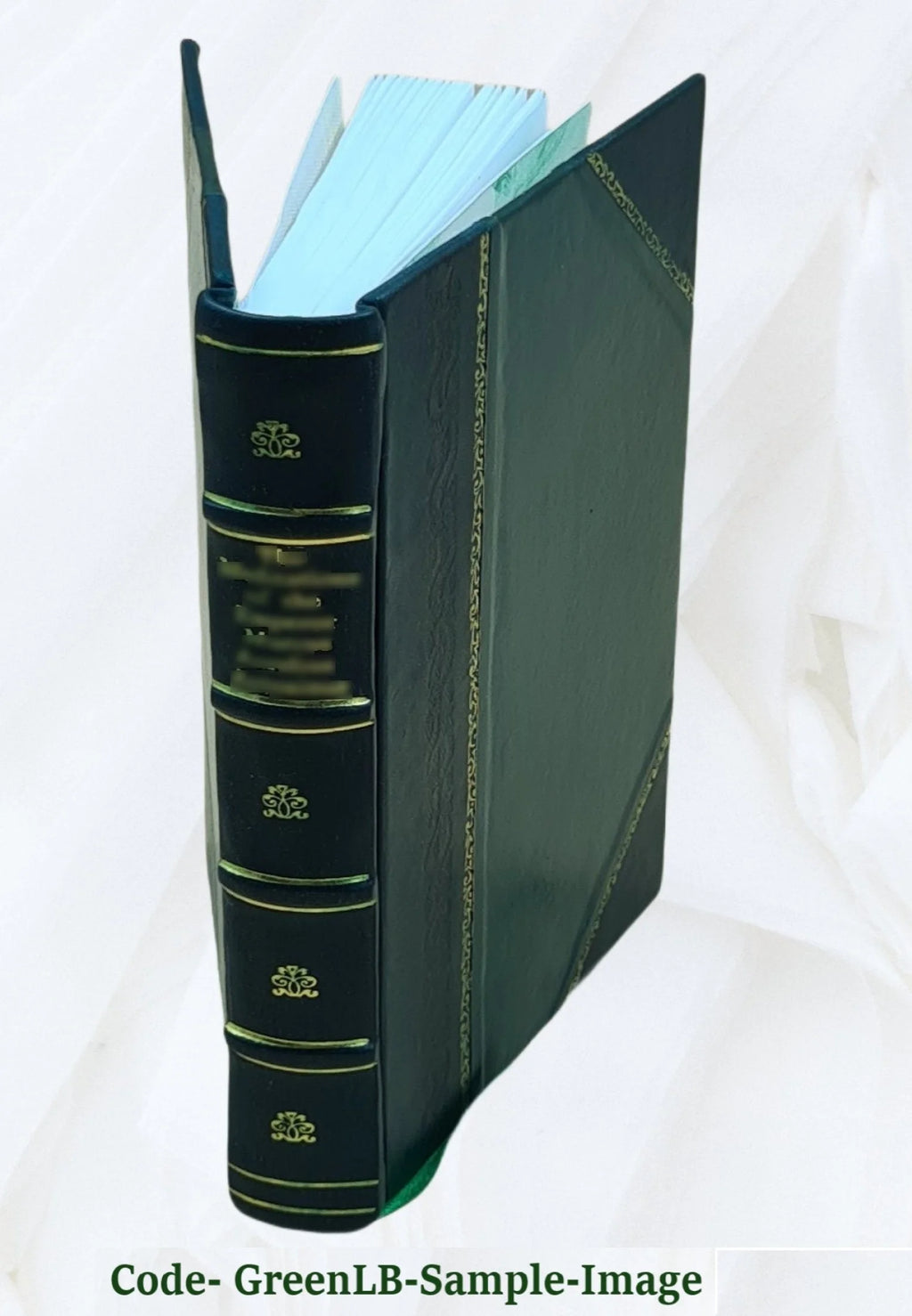 Leather Bound Book N78711