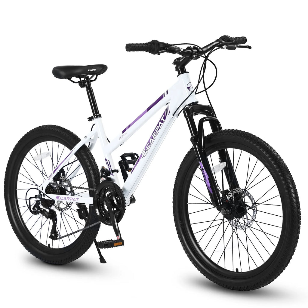 26 Mountain Bike 21 Speeds with Mechanical Disc Brakes F86537
