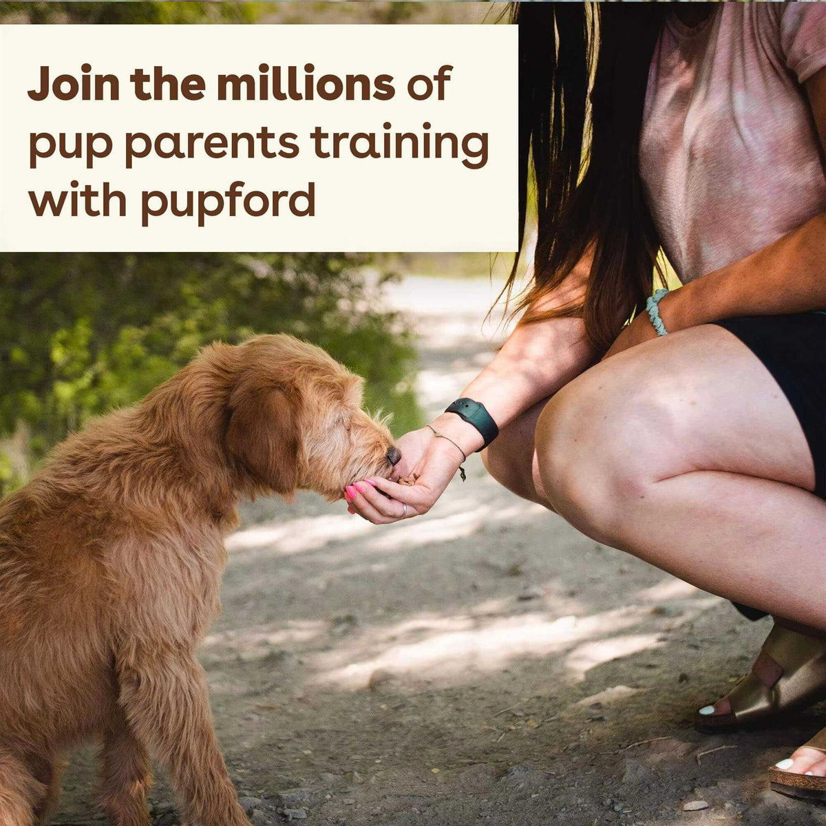 Freeze Dried Training Dog Treats E51360