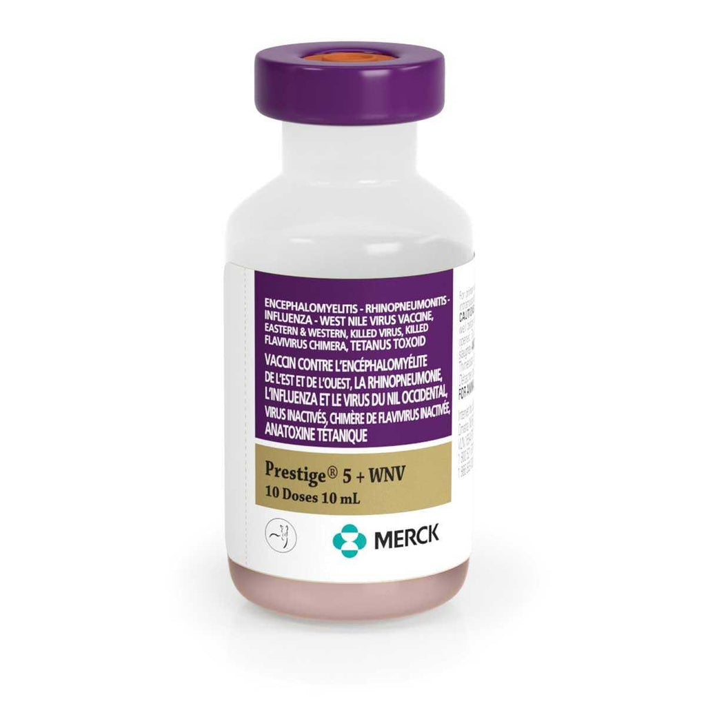 WNV Vaccine W338