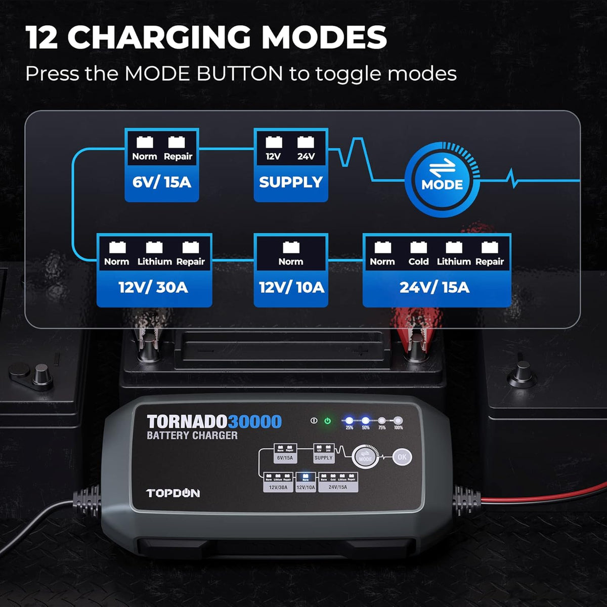 30 Amp Automotive Battery Charger C79393