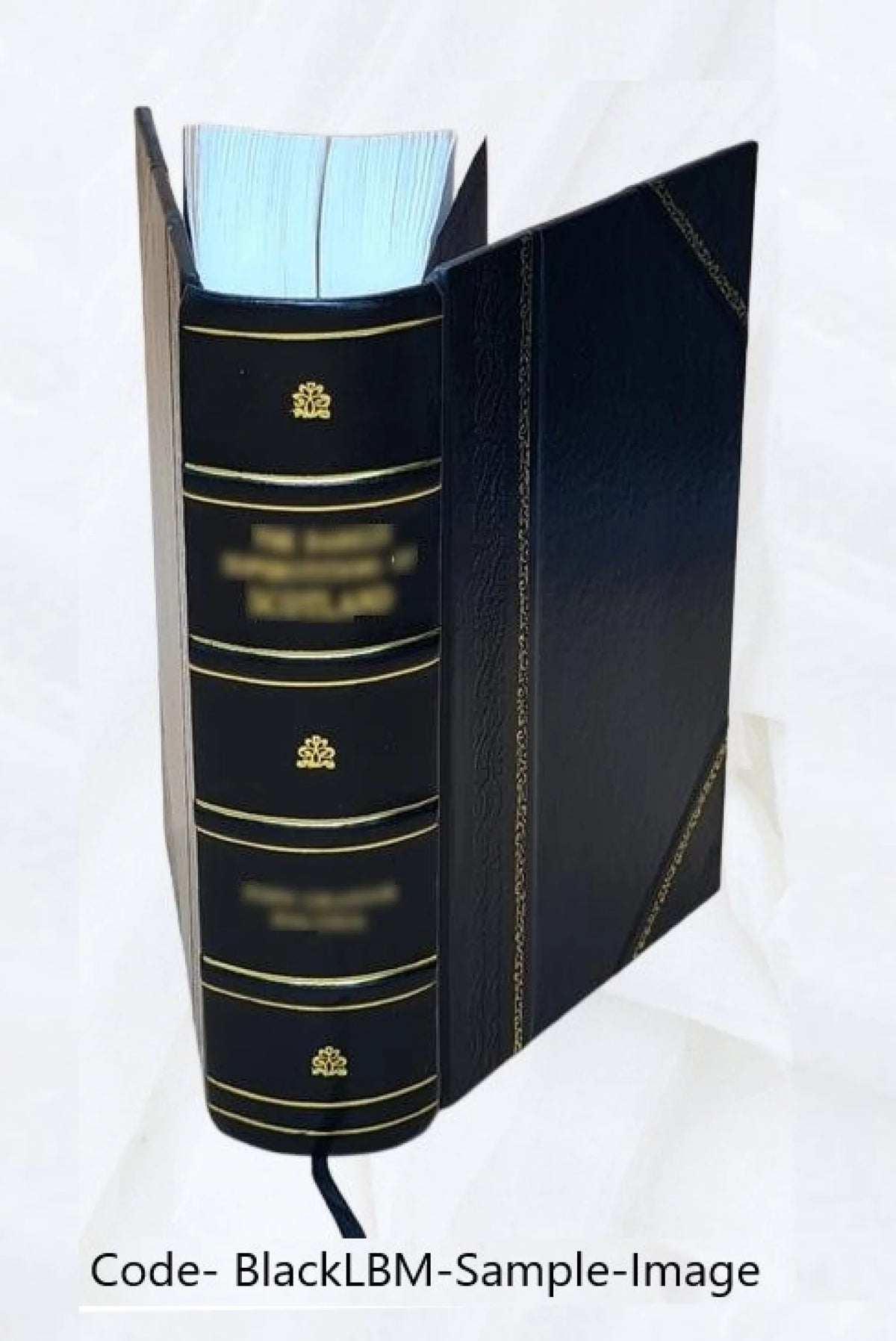 Leather Bound H461027