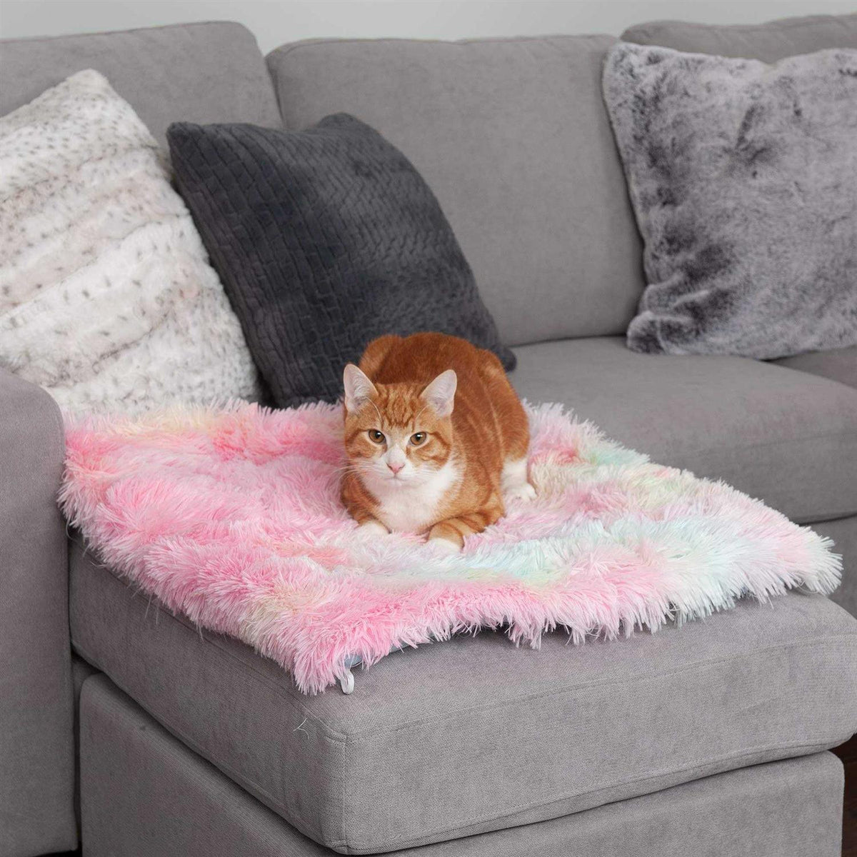 Self-Warming Pet Mat & Bed P255489