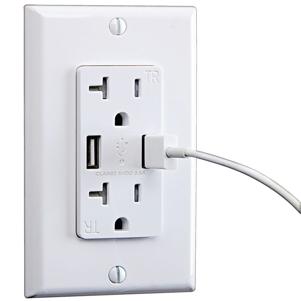 20 Amp 125v 2 USB Rapid Charging Outlet J7614