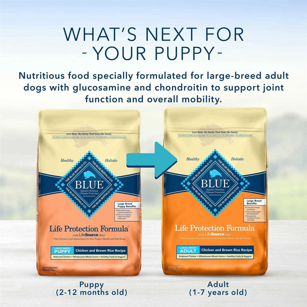 Large Breed Puppy Chicken & Brown Rice Recipe Dry Dog Food B956