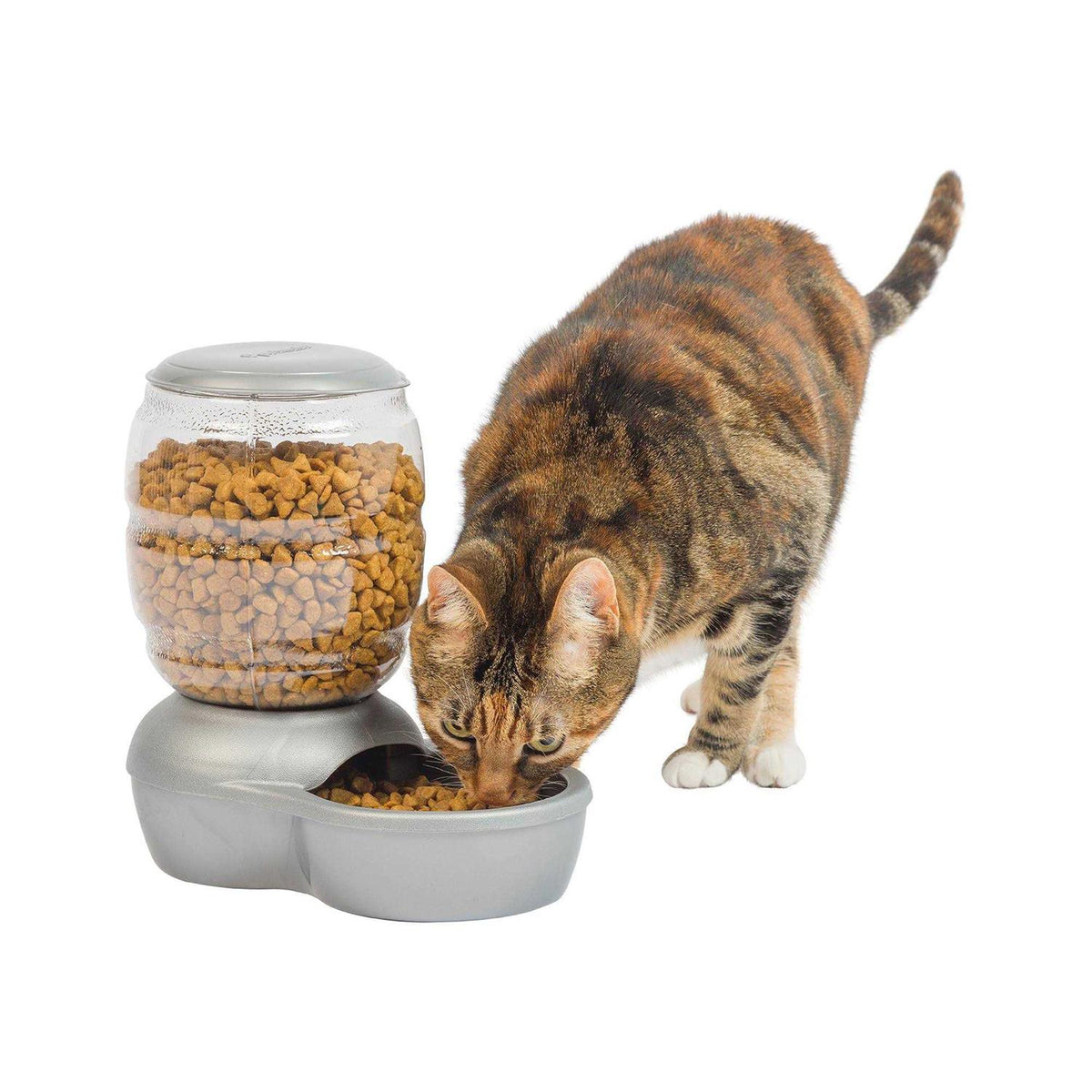 Pet Feeder K951