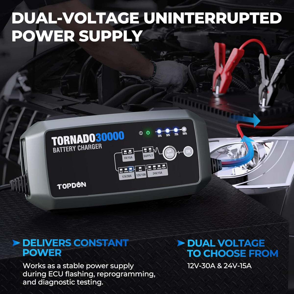 30 Amp Automotive Battery Charger C79393