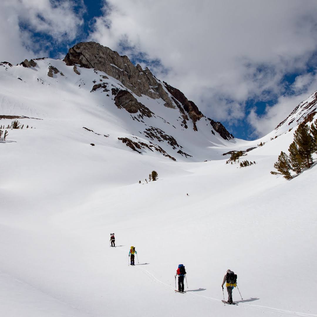 Splitboard H6000