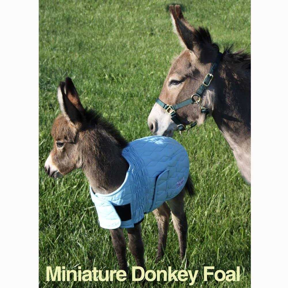 Lightweight Foal Saver O283