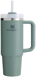 30 oz Insulated Stainless Steel Tumbler with Straw H2933
