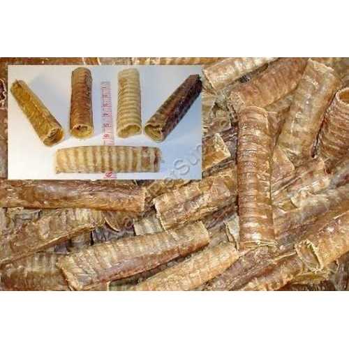 6 inch Beef Trachea D9997