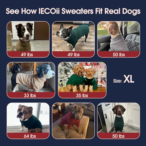 Green XXL Dog Sweater Y4364