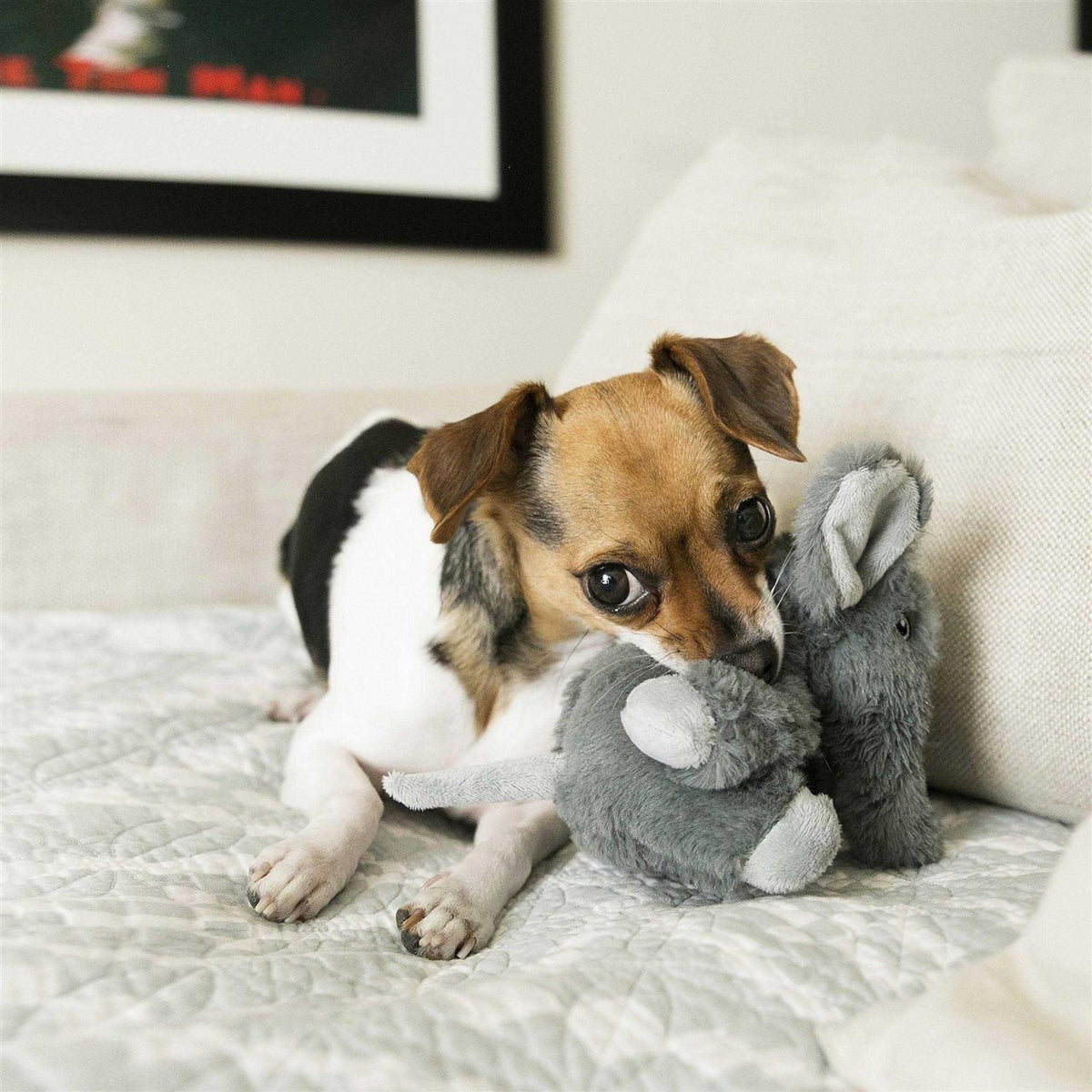 Elephant Dog Toy K776