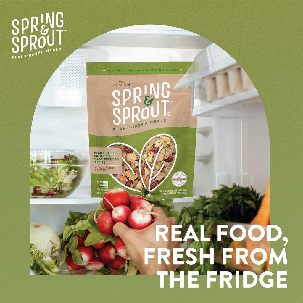 Plant-Based Protein & Cage-Free Egg Recipe Dog Food Q969