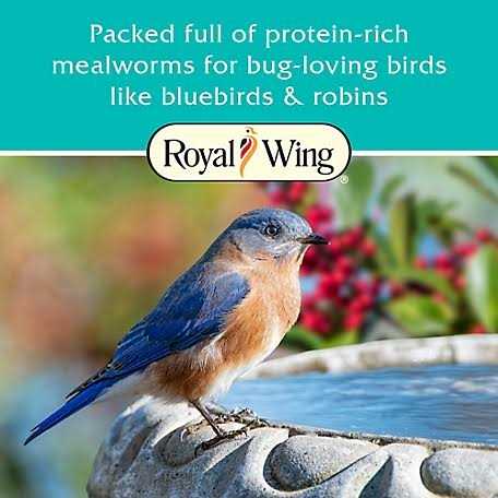 Mealworm Suet Wild Bird Food C952