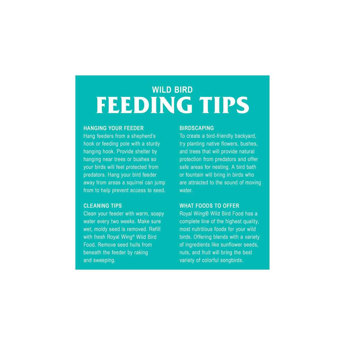 Mealworm Suet Wild Bird Food C952