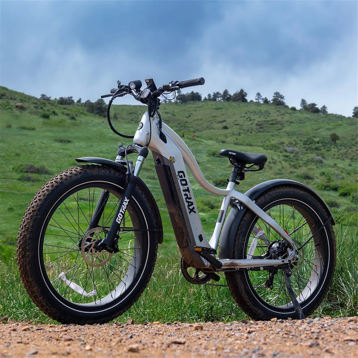 Silver 750W 48V 26" x 4" Fat Tire Electric Mountain Bike G457363