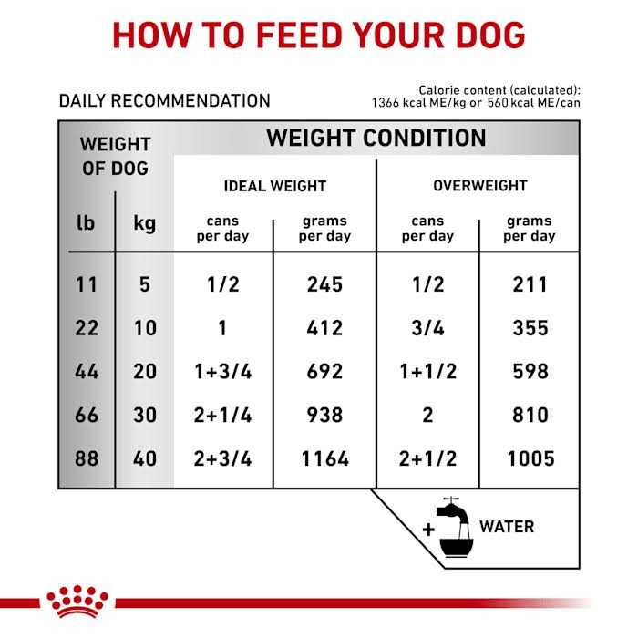 Veterinary Diet Hepatic Canned Dog Food N75045