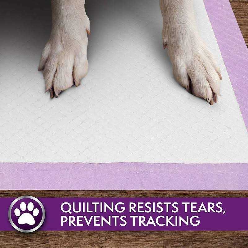 6-Layer Dog Pads W282061