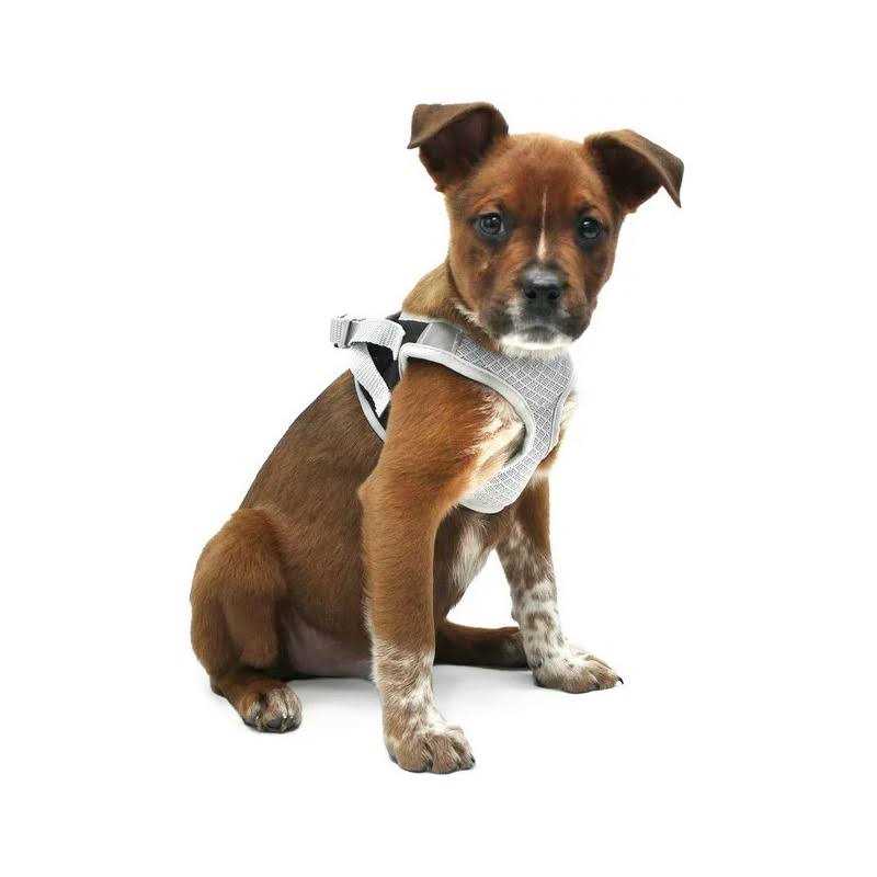 Dog Harness L33267