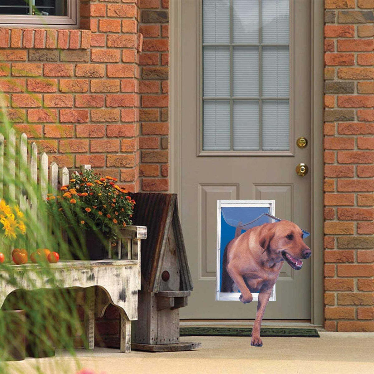 White Aluminum Pet Door F42537