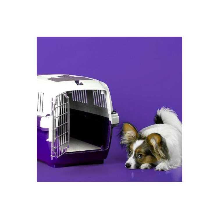 6-Layer Dog Pads W282061