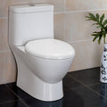 One-Piece Dual Flush Toilet with Soft Close Seat Y142