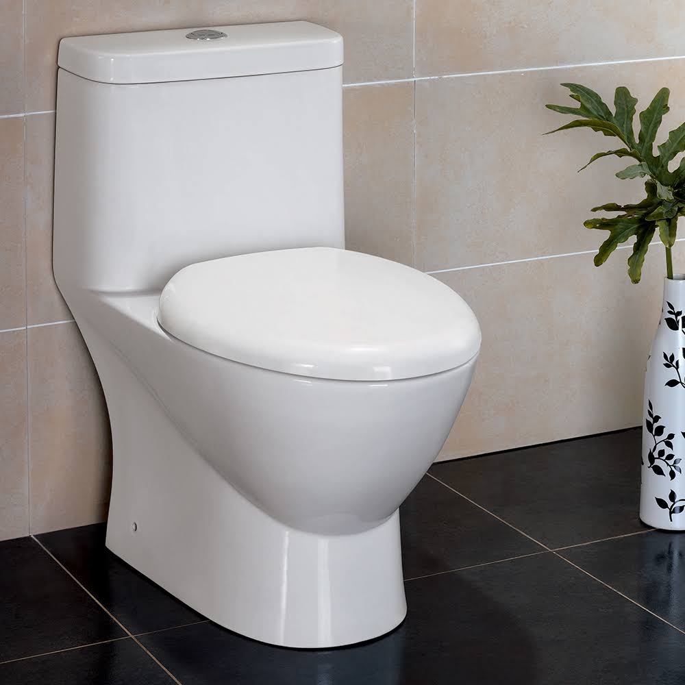 One-Piece Dual Flush Toilet with Soft Close Seat Y142