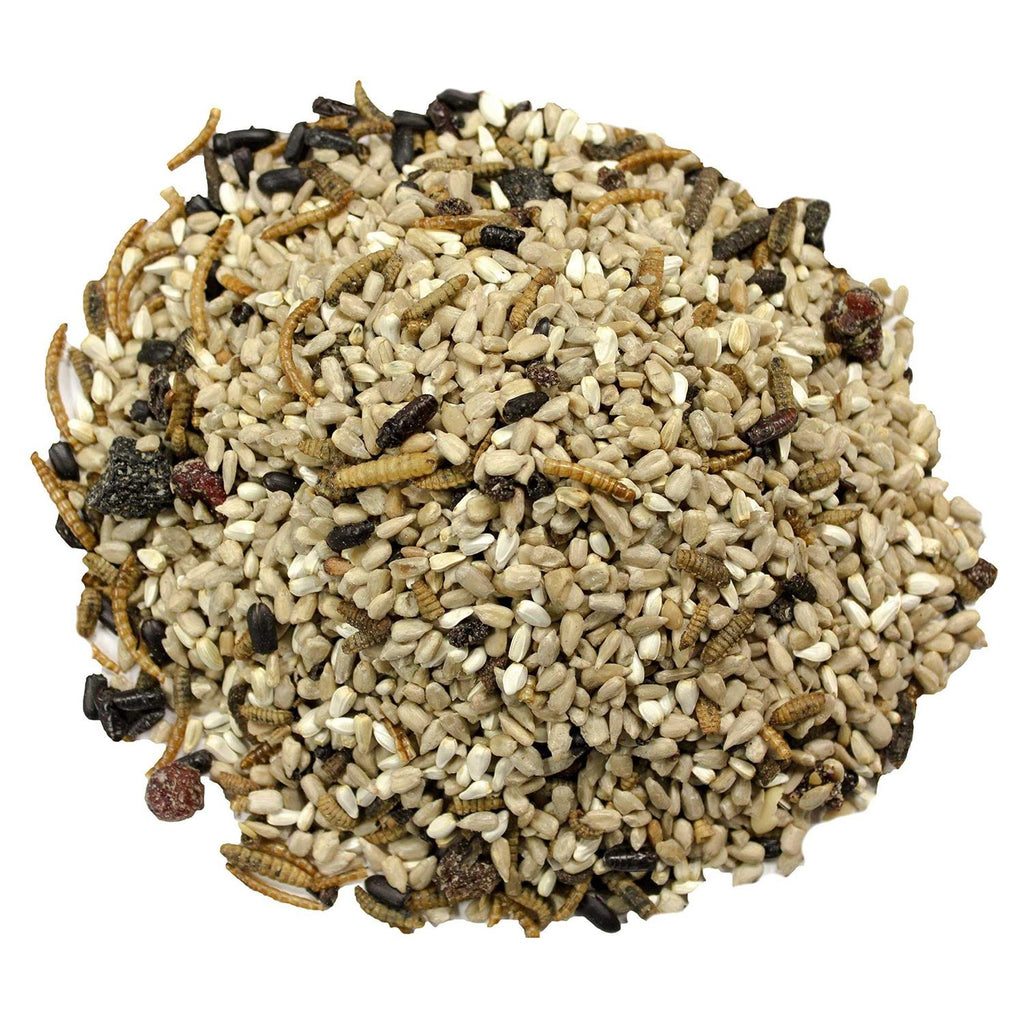 Bugs N' Berries Bird Food X2168