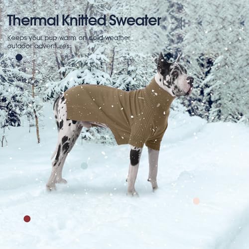 Green XXL Dog Sweater Y4364