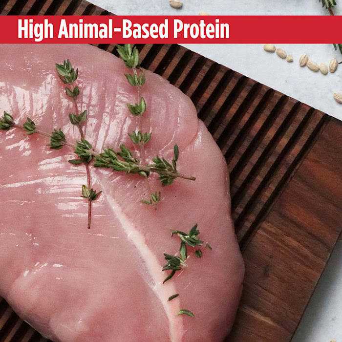 Grain Free Turkey & Peas Dog Food O606