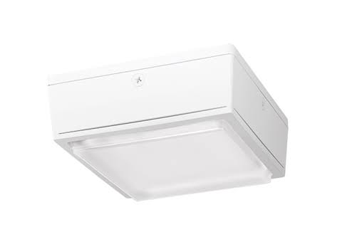 10W Warm LED Canopy Light M423