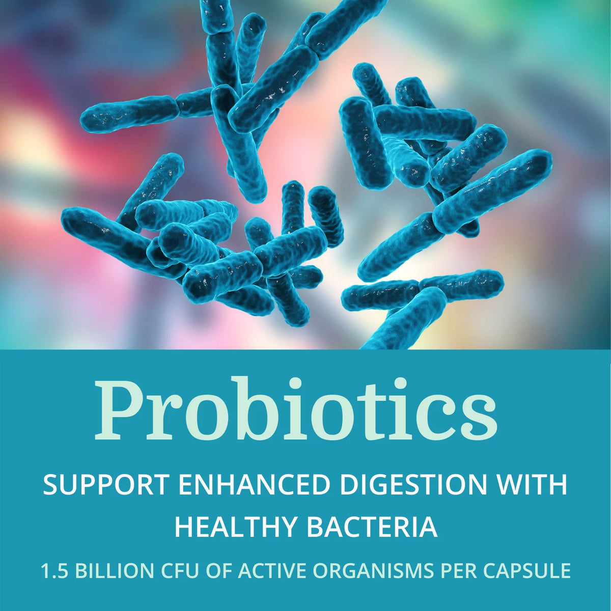 Probiotic & Prebiotic Digestive Supplement F4786