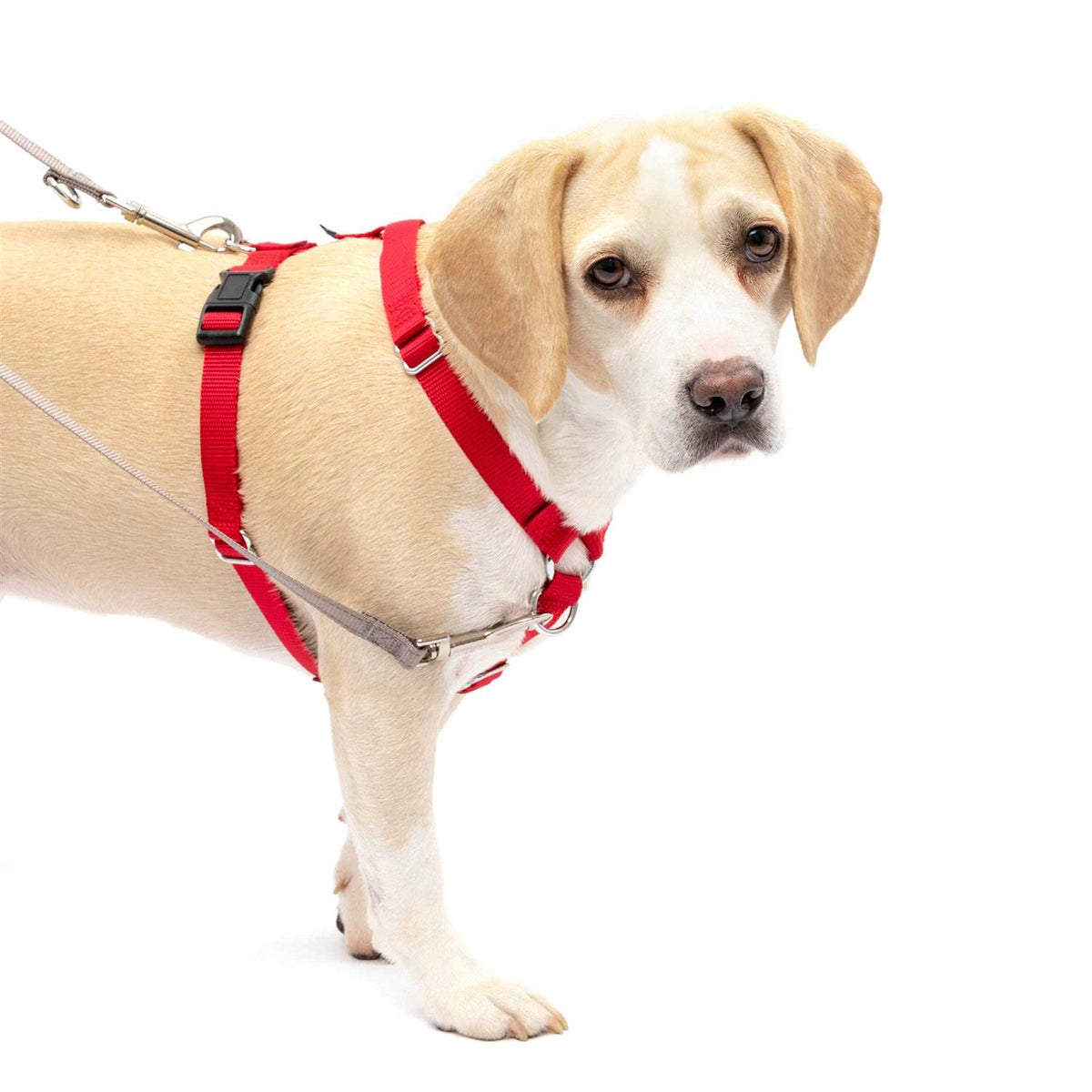 Harness J979492