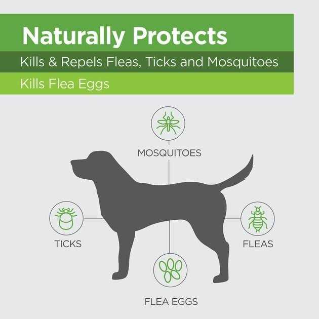 Flea & Tick Topicals for Dogs D129