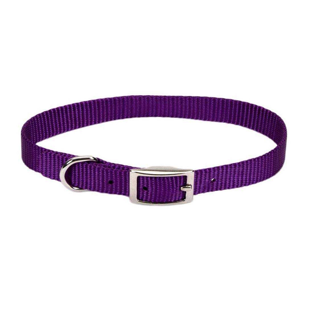 Nylon Pet Collar H552404