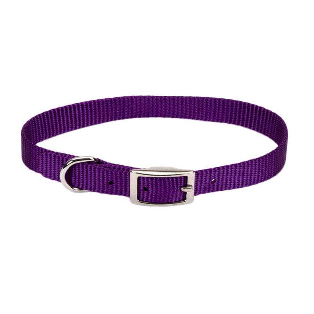 Nylon Pet Collar H552404