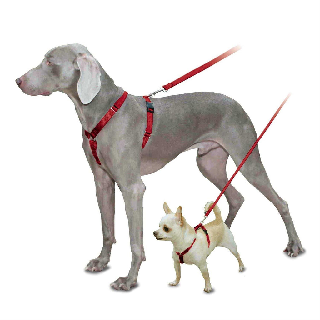 Harness J979492
