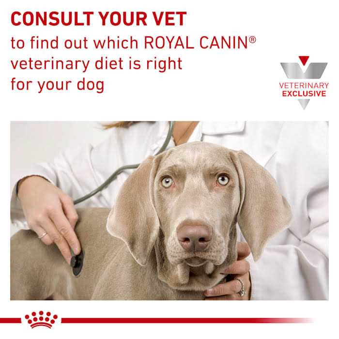 Veterinary Diet Hepatic Canned Dog Food N75045