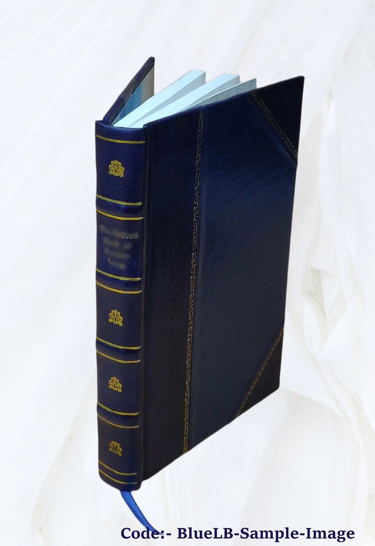 Leather Bound Book N78711