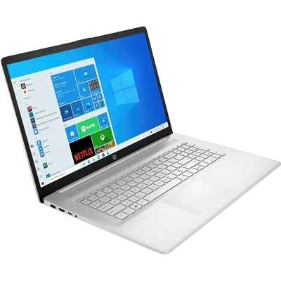 Silver 17" Laptop E874