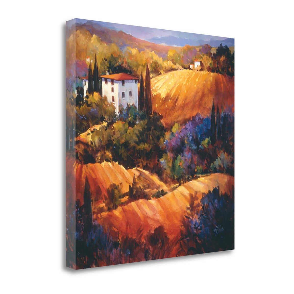 20x22 Fine Art Giclee Print T46407