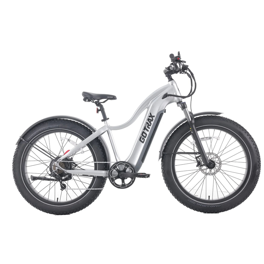 Silver 750W 48V 26" x 4" Fat Tire Electric Mountain Bike G457363