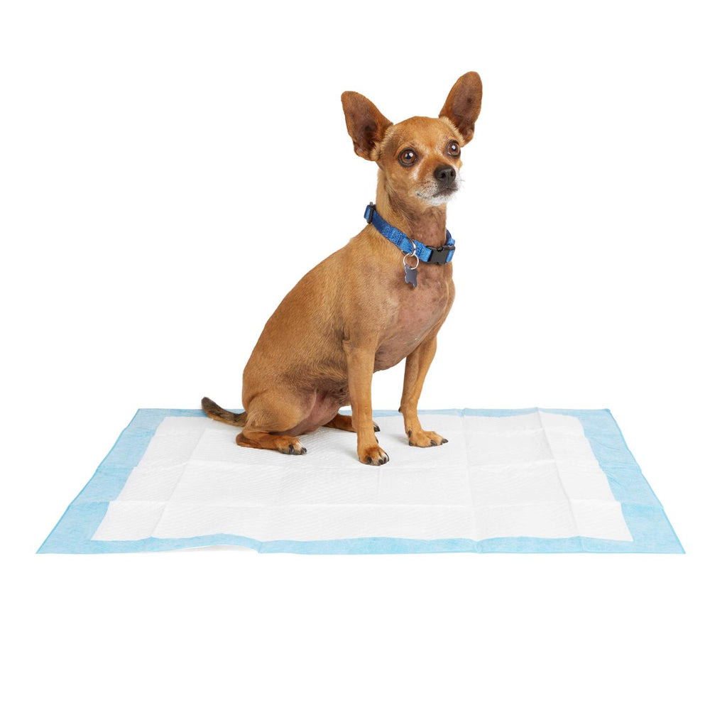 Potty Pads I427703