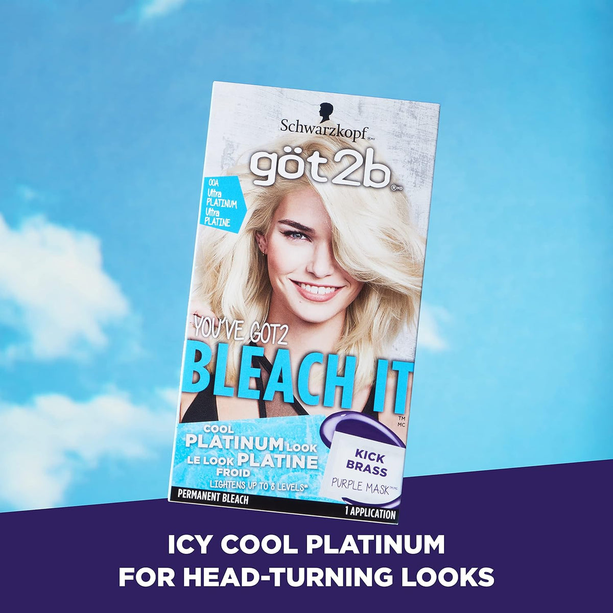 Ultra Platinum Permanent Hair Color H484