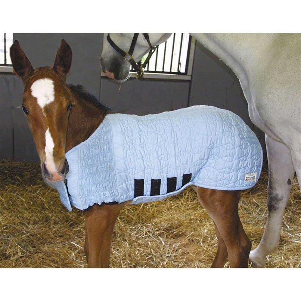 Lightweight Foal Saver O283
