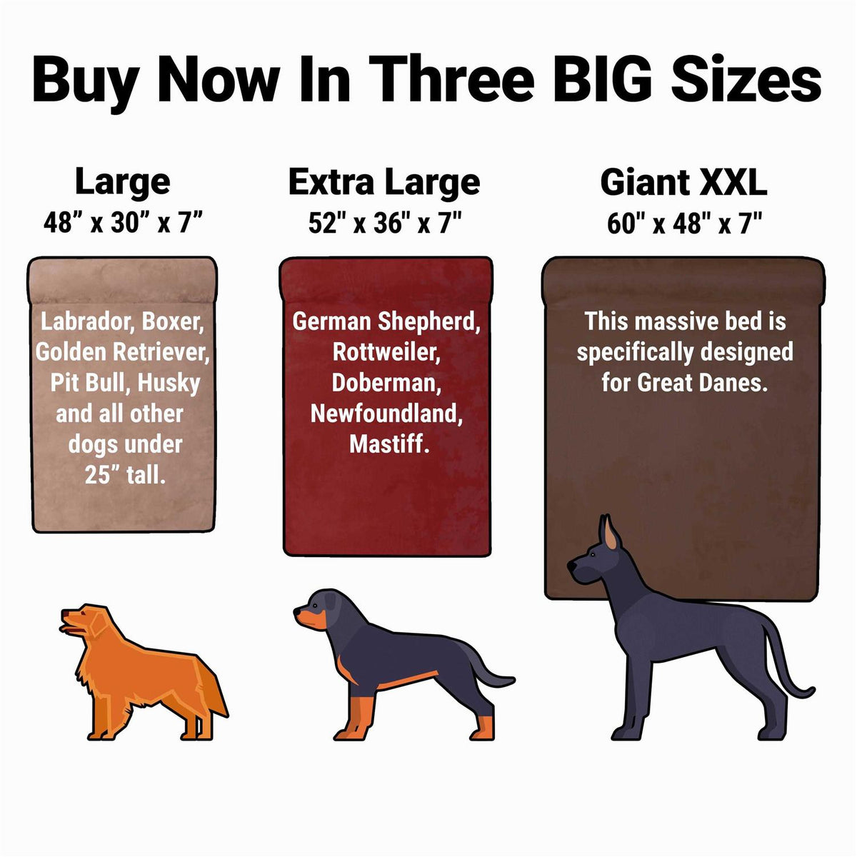 Orthopedic Dog Bed D1439